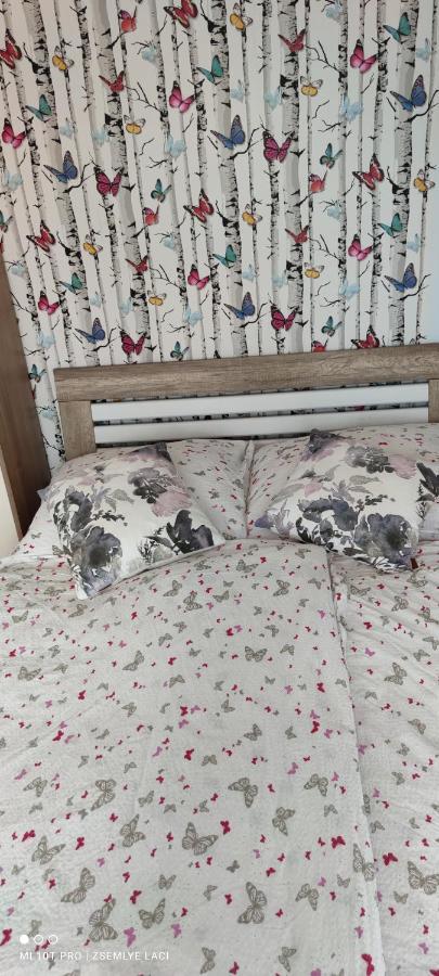 Veľký Meder Hodosi Apartman 아파트 외부 사진