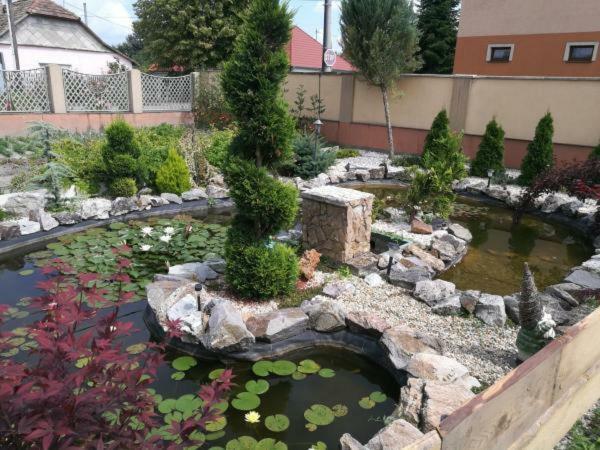 Veľký Meder Hodosi Apartman 아파트 외부 사진